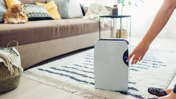 Dehumidifier for Drying Clothes